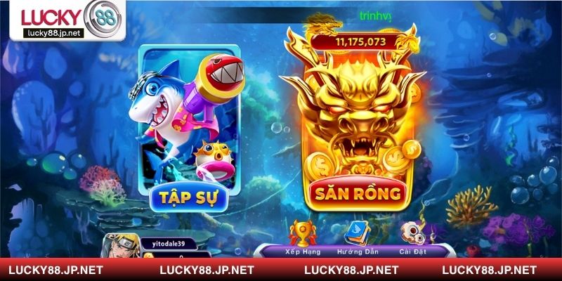 Tổng hợp các sự kiện đặc biệt & ưu đãi hấp dẫn nhất năm 2025